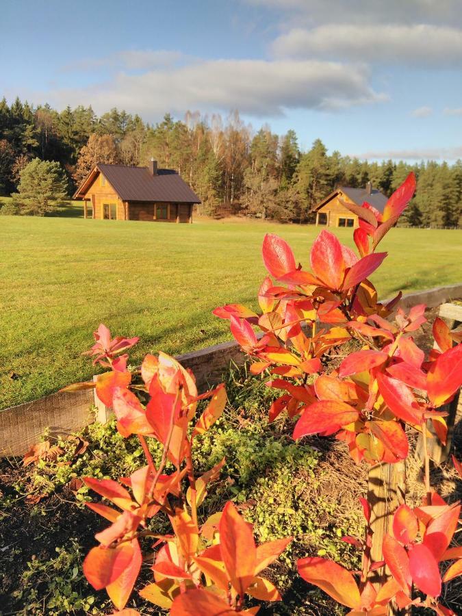 Vip Forest Dreams Villa Anykščiai Zewnętrze zdjęcie