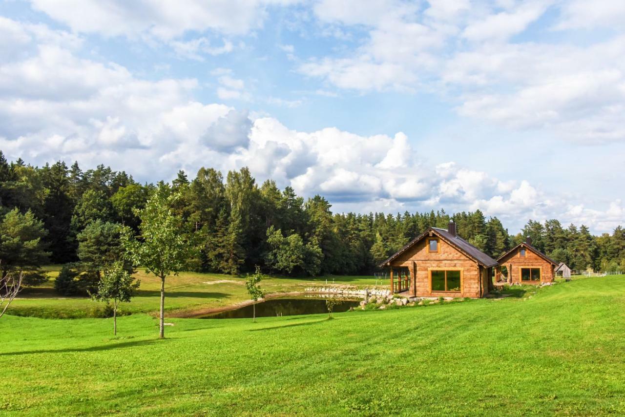 Vip Forest Dreams Villa Anykščiai Zewnętrze zdjęcie