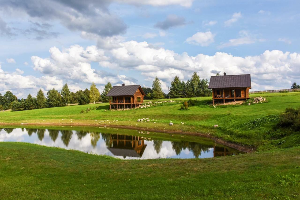 Vip Forest Dreams Villa Anykščiai Zewnętrze zdjęcie